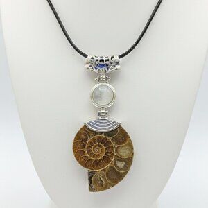 Ammonite Fossil Shell Pendant Necklace Leather Strap